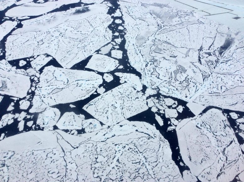 Cinco hechos que ayudan a comprender el hielo marino