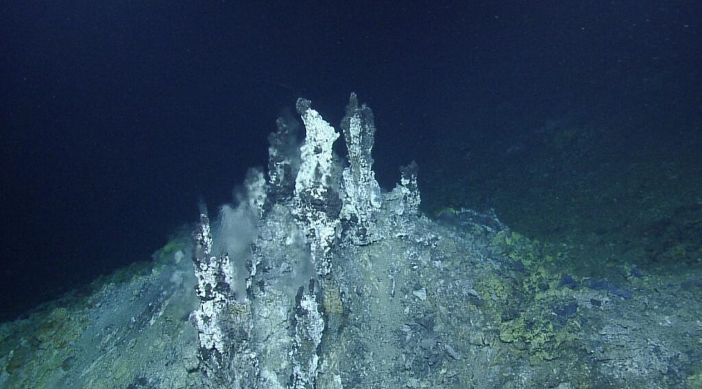 Una estructura de chimenea del campo de ventilación hidrotermal Sea Cliff ubicada a más de 8,800 pies (2,700 metros) debajo de la superficie del mar en el límite submarino de las placas tectónicas del Pacífico y Gorda. Crédito: Foto de Ocean Exploration Trust