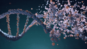 Lee más sobre el artículo Los físicos descubren cómo las moléculas de ADN se autoensamblan