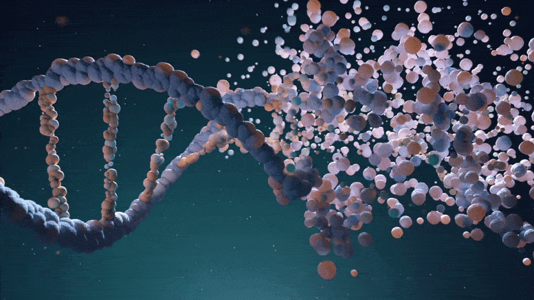 Los físicos descubren cómo las moléculas de ADN se autoensamblan