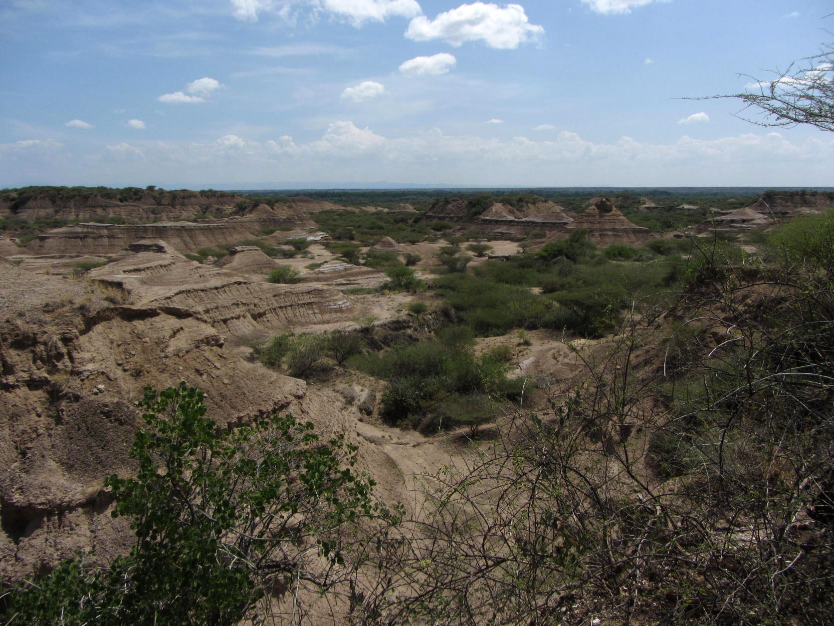 La Formación Omo Kibish en el suroeste de Etiopía, dentro del valle del Rift de África Oriental. La región es un área de alta actividad volcánica y una rica fuente de restos humanos primitivos y artefactos como herramientas de piedra. Crédito: Céline Vidal