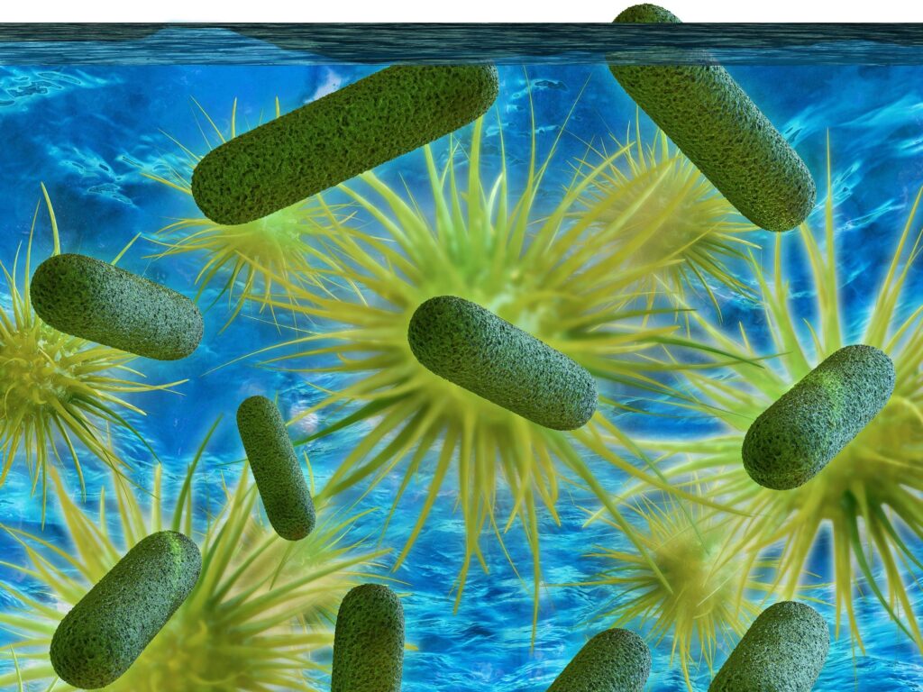 Ilustración de la bacteria Legionella.