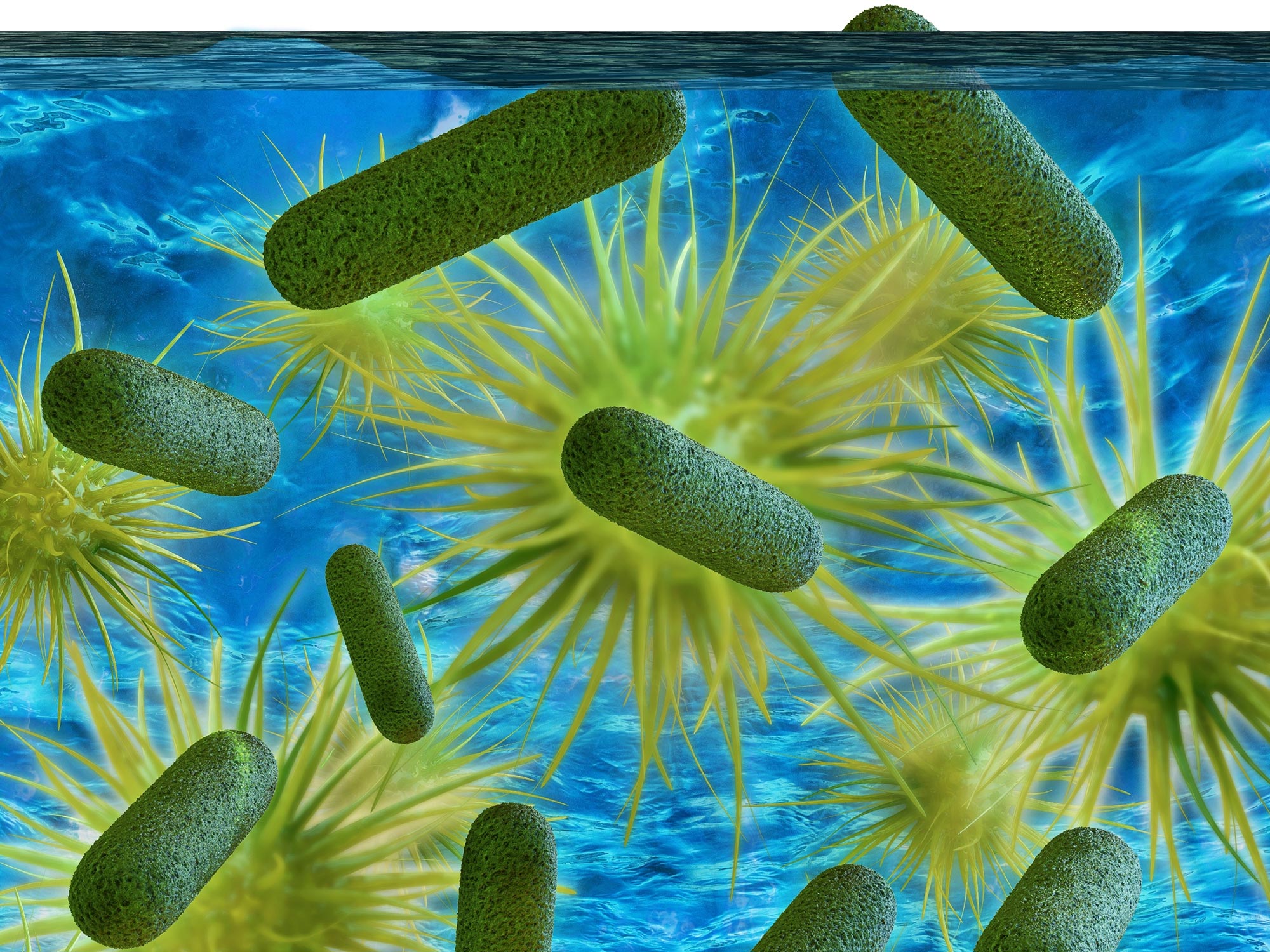 Ancestral bacteria Legionella, que causa la enfermedad del legionario,  infecta hace dos mil millones de años