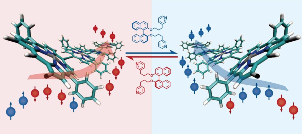 El nuevo superconductor molecular utiliza moléculas quirales especiales con diestros o zurdos para filtrar electrones y transmitir corrientes de espín a largas distancias ya temperatura ambiente. Crédito: Ko et al. ANP 4 de febrero de 2022